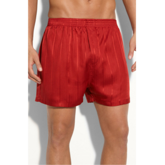 Boxer
