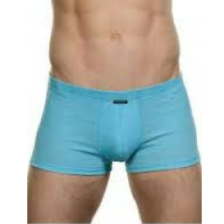 Boxer