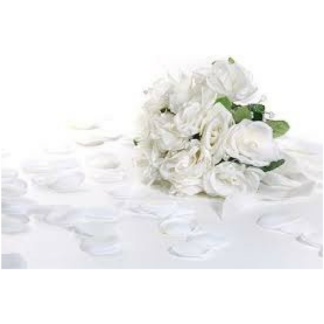 Rose Petals